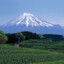 Fuji