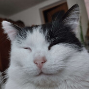 Zerosur Dorogleb