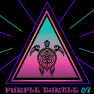 PURPLE_TURTLE_87