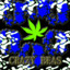 weed smoker