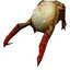 superheadcrab from ravenholm