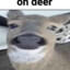 deer god