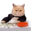 MONEY_STAR