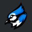 Bluejay