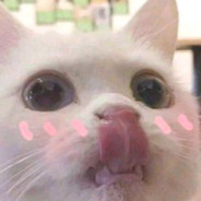 指天跪地求一虐