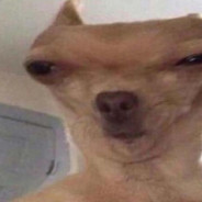 Z~Ɑ͞ ̶͞E ̶͞ MﻝﮞAR