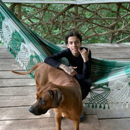 fresh frozen com tabaco