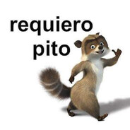 kitty patitas suaves