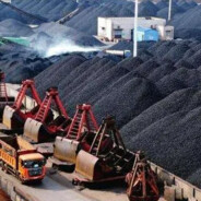 七星关煤炭兆玉李老五