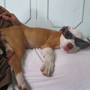 不玩牛头了，换英雄了