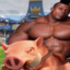 hog rider