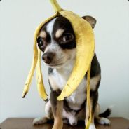 包谷汤圆银耳汤