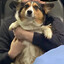 Dogskin