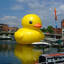 Quacker Jack