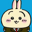 Usagi