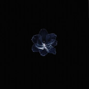 -eYe- avatar