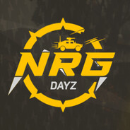 NRG DAYZ avatar