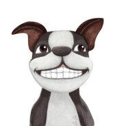 会弹吉他的良田