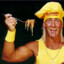 Hulk Hogan Logan