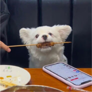 整点薯条🍟吃吃