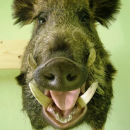 matnakashik - steam id 76561199874885651