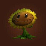 Mr_Flower