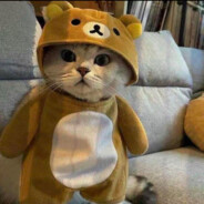 星光该不该坠落