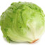 Lettuce