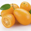 Kumquat