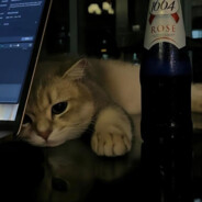 重新起号我要做高手