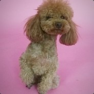 辅助给我出香炉