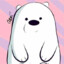 ice bear