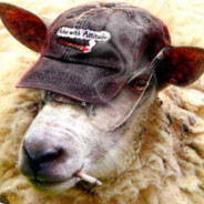 ПОЛУПЬЯНАЯ ОВЦА