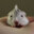 garlic hamster