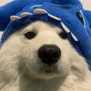 假如我当三天老蒯.