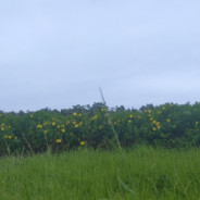 我正在背后看着你