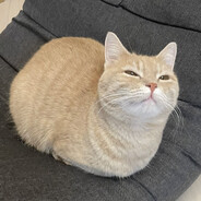 ><