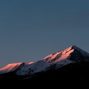 会喝水的明太鱼