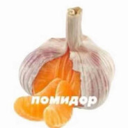 Потел-чесал|反社