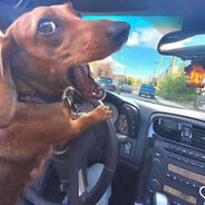 Противоречие - steam id 76561198322063973