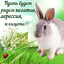 YAZA LUPA