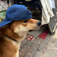 胃疼记得辣加冰