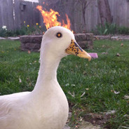 Иисус твоего отца