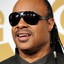 Stevie Wonder