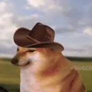 快乐的potato女士