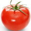 tomate