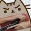 Kaz