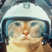 哈基米空軍貓爹上校