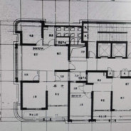 西伯利亚大帅哥