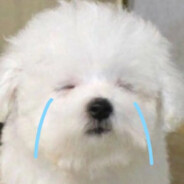 身边有妹我不搞 正义青年就是导